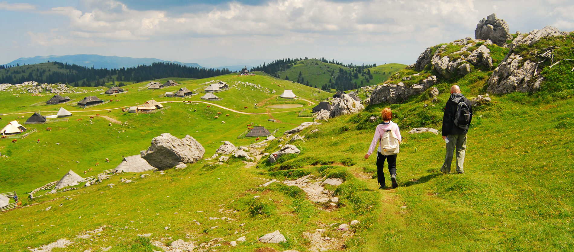 Dive into Slovenia's fascinating mountain pastures